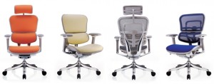 Ergohuman Plus Mesh Office Chair