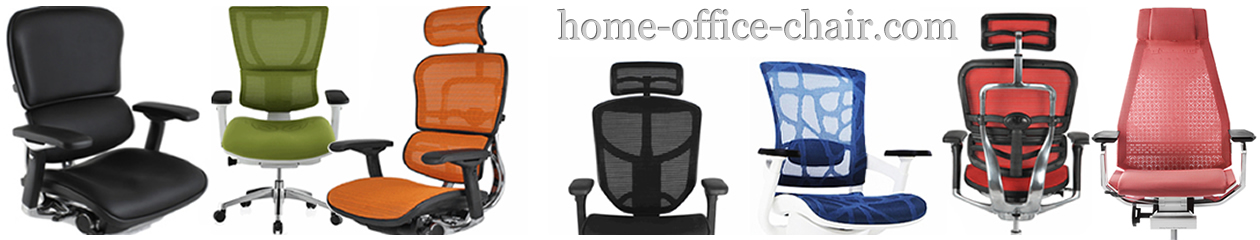 Home Office Chair